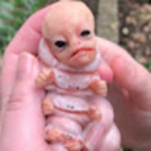 Meet your Posher, Tye